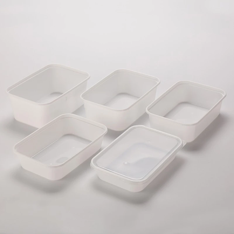 Biodegradable Fast Food Packaging