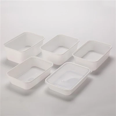 Biodegradable Fast Food Packaging